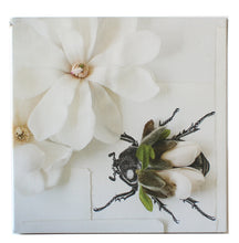 Load image into Gallery viewer, Magnolias