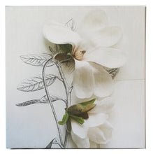 Load image into Gallery viewer, Magnolias