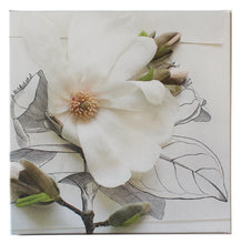 Load image into Gallery viewer, Magnolias