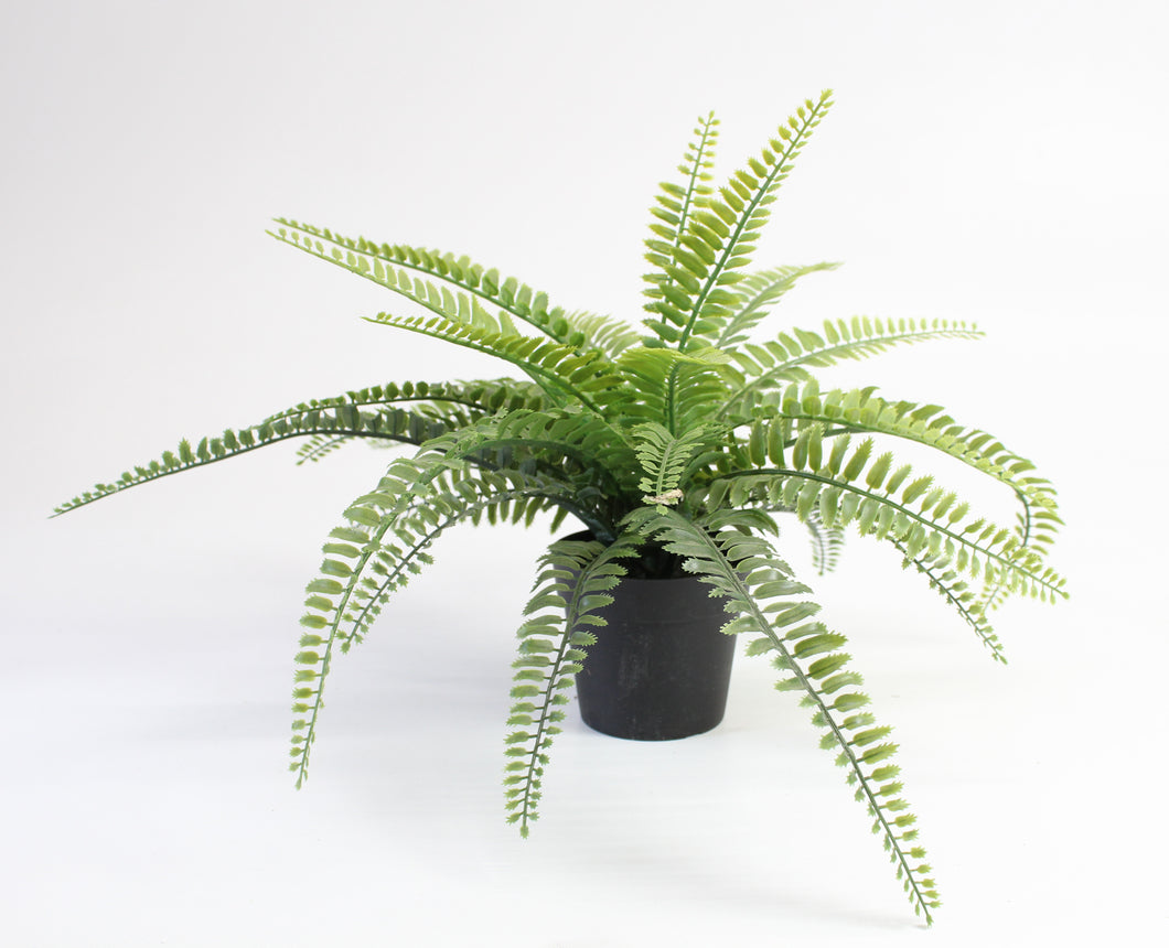 Small Artifical Fern