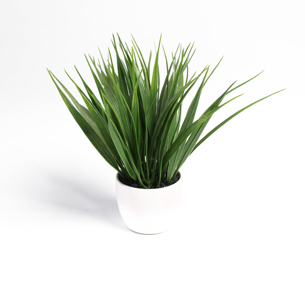 Grass in Glazed Pot