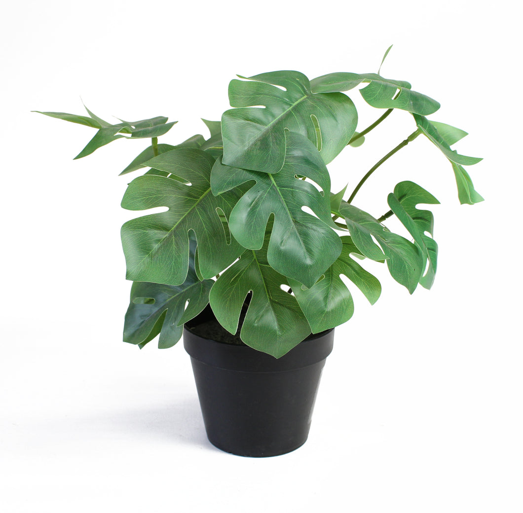 Small Artifical Monstera