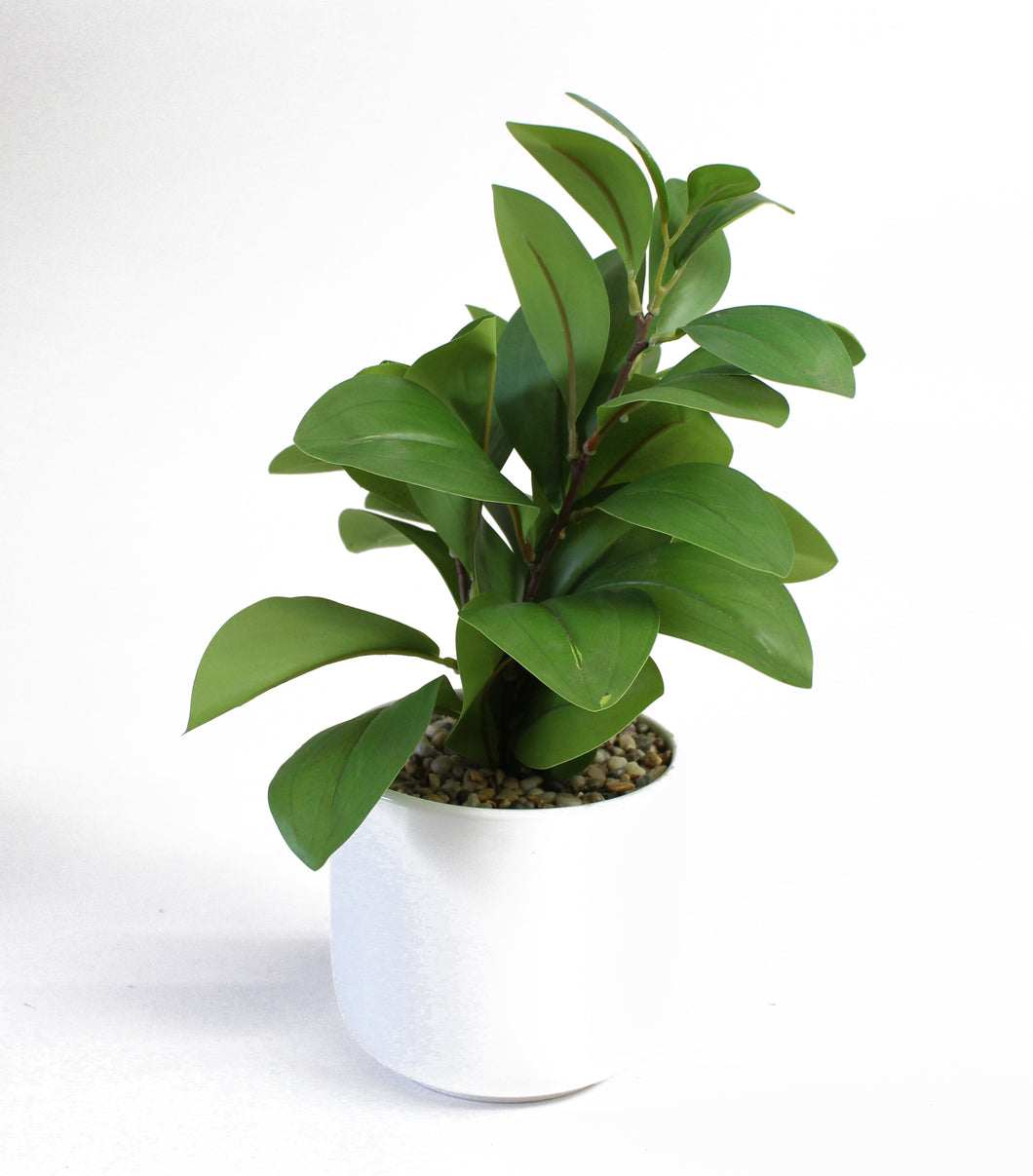 Decorative Greenery in White Pot