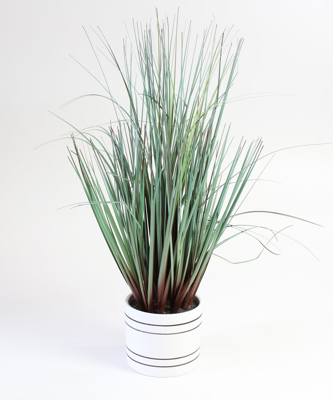 Decorative Grass