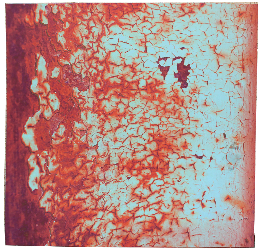 Abstract Photograph: Orange Texture