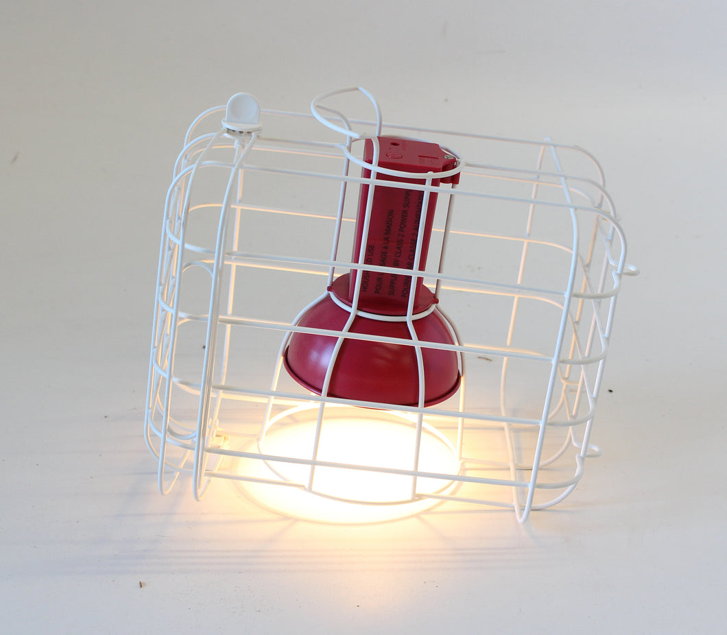 Caged Battery Lamp