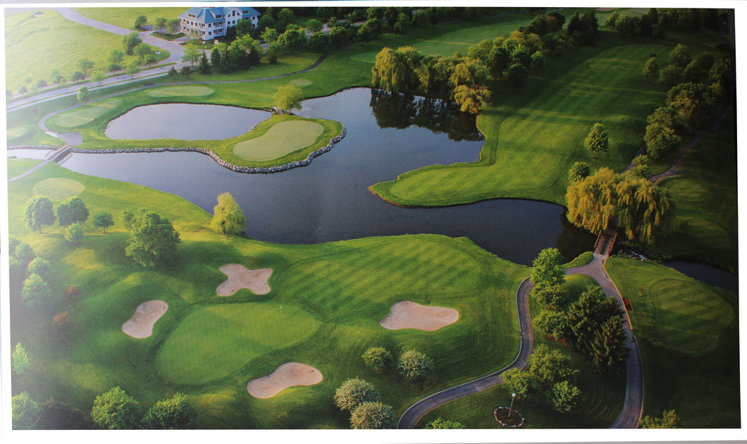 Golf Course Vinyl Print #1