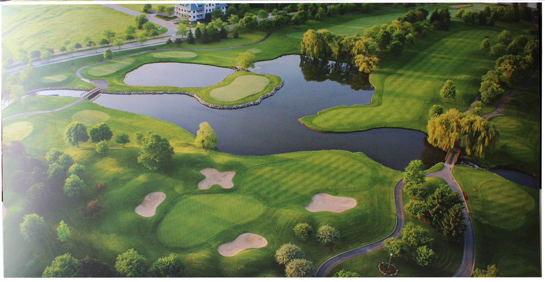 Golf Course Vinyl Print #2