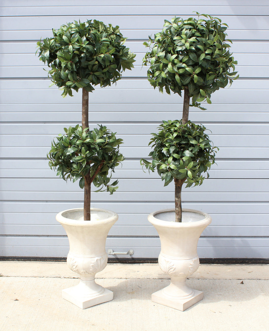 Pair of Double Round Topiary