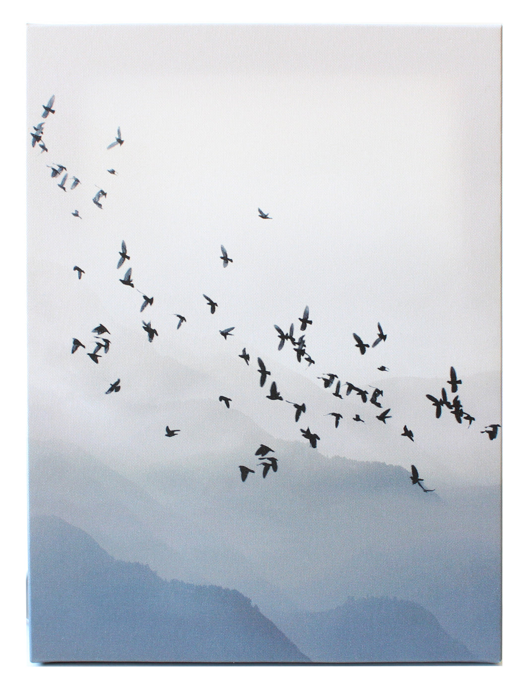 Photo Canvas, Misty Birds