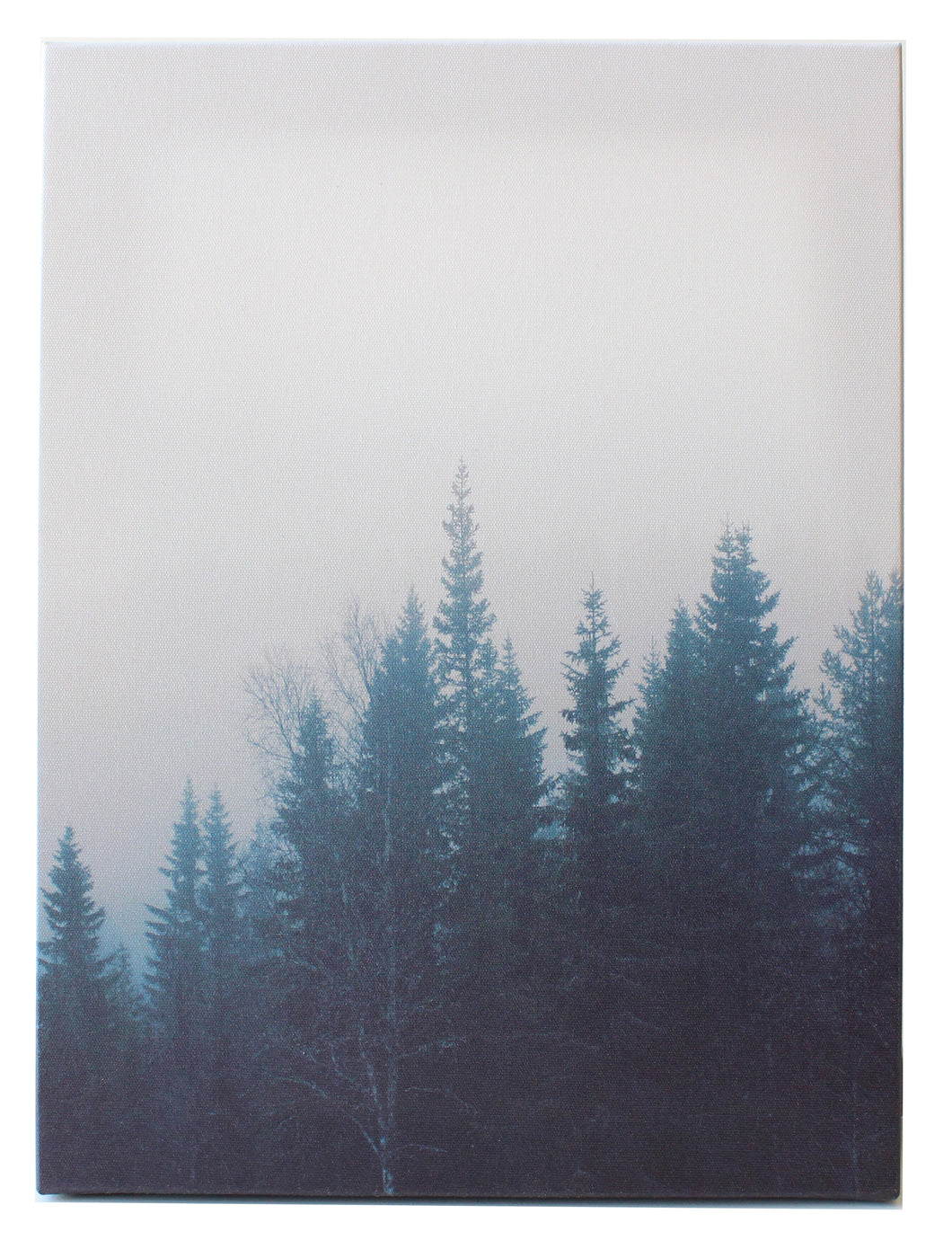 Photo Canvas, Misty Trees