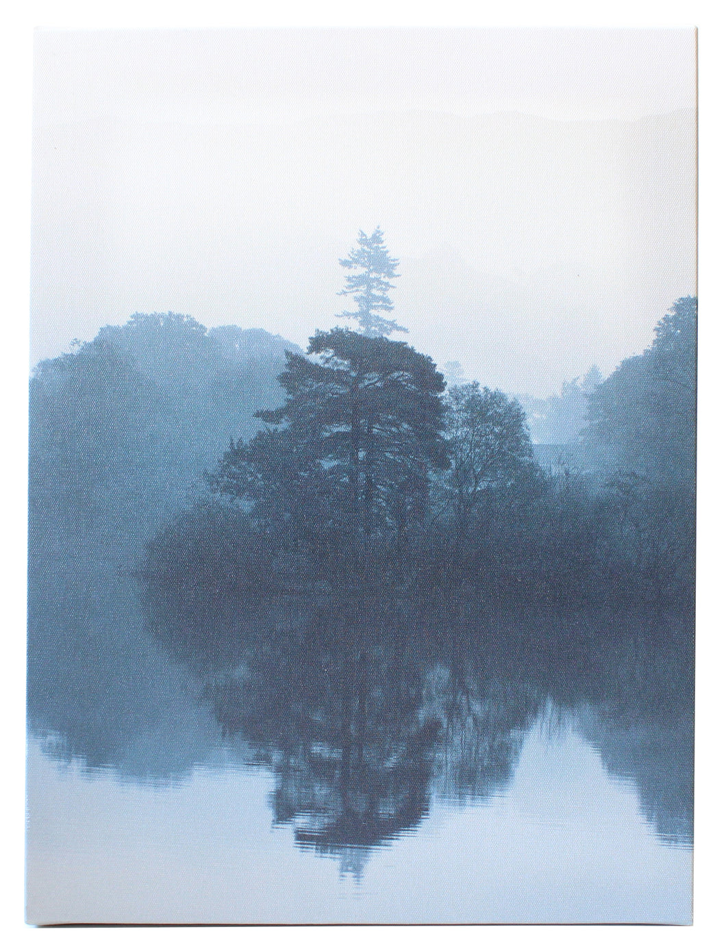 Photo Canvas, Tree Reflection On Lake