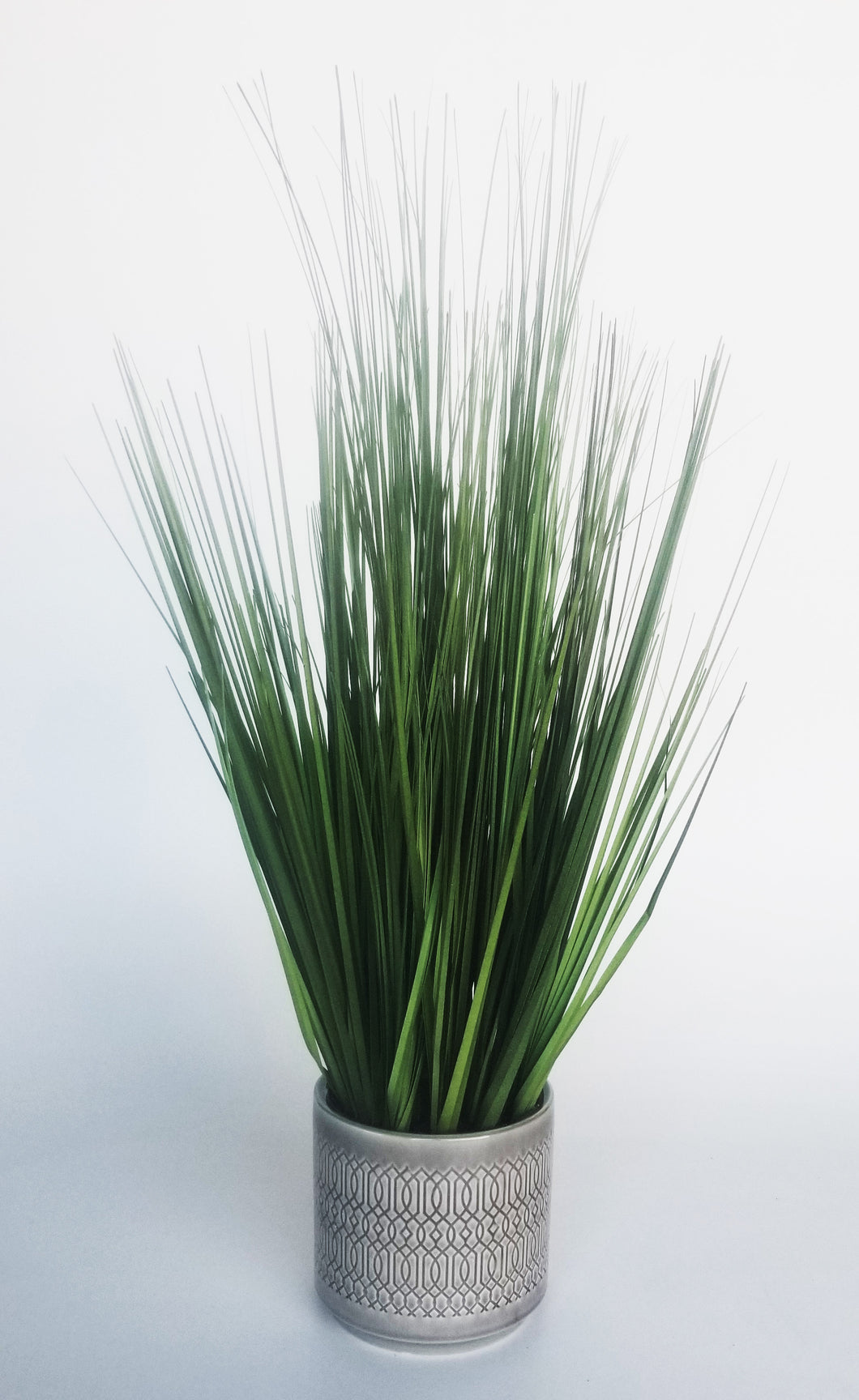 Potted Grass