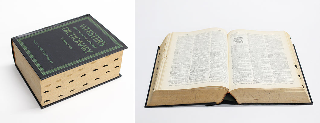 Vintage Webster's Dictionary